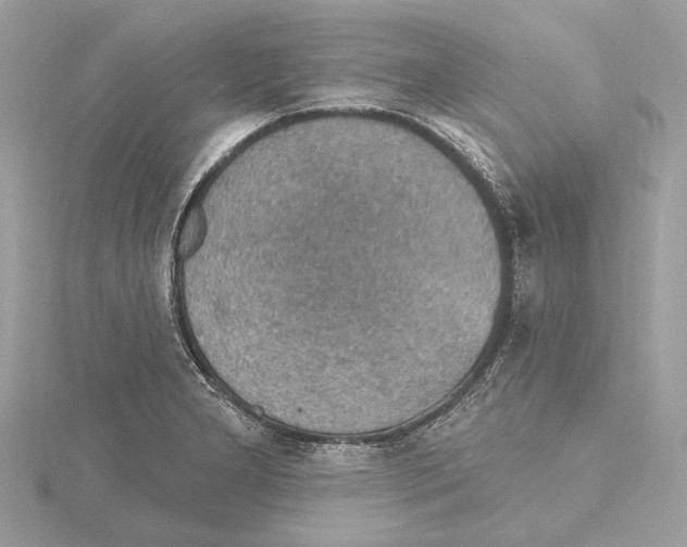 X0000115401277200912011157