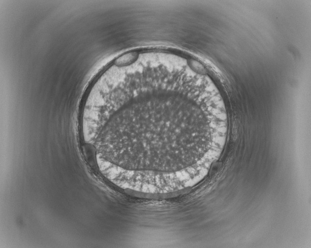 X0000115401279200912011157