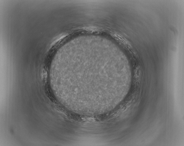 X0000115401302200912011156