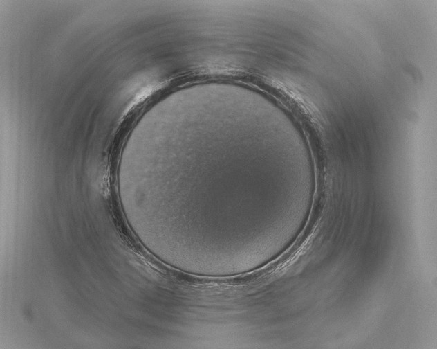 X0000115401306200912011156
