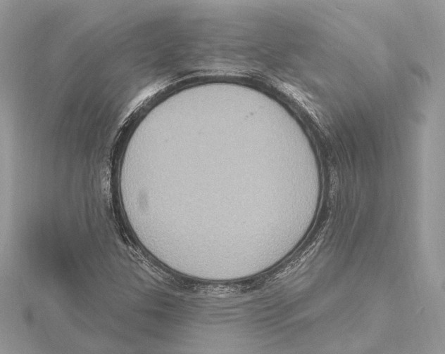 X0000115401307200912011156