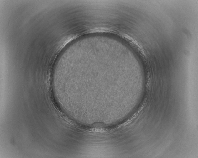 X0000115401313200912011156