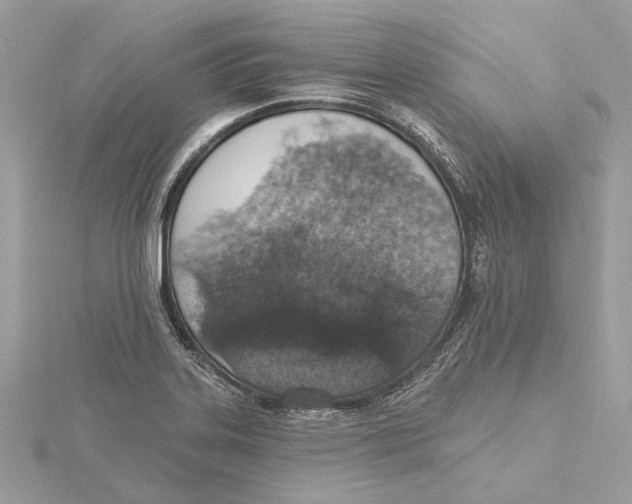 X0000115401323200912011157