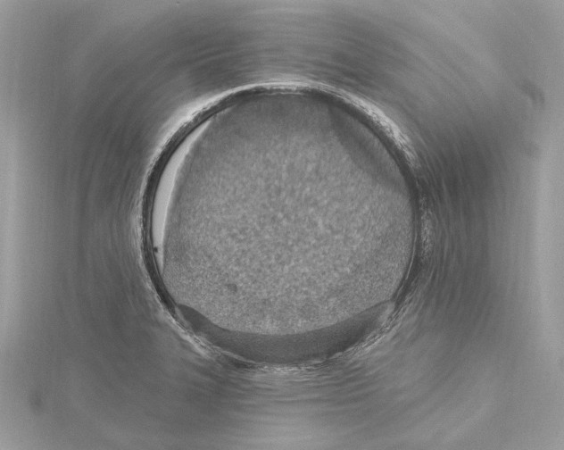X0000115401327200912011157