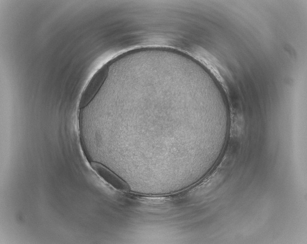 X0000115401342200912011157