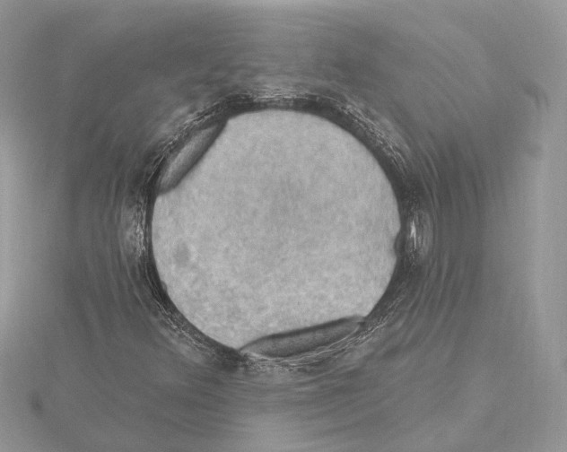 X0000115401348200912011156