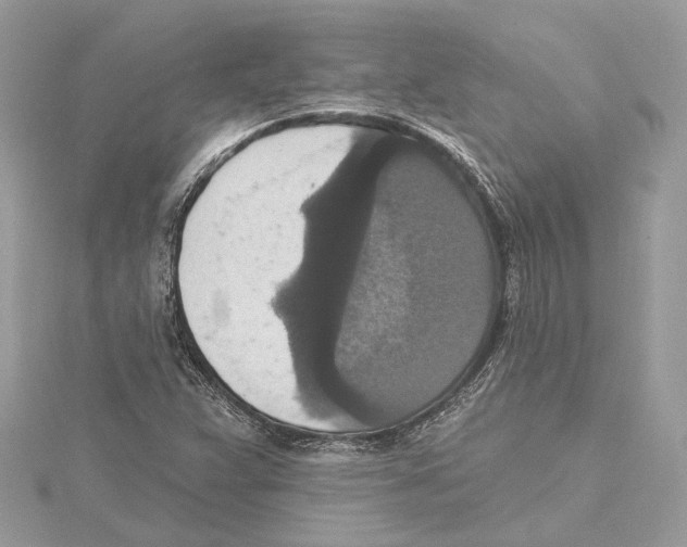 X0000115401359200912011156