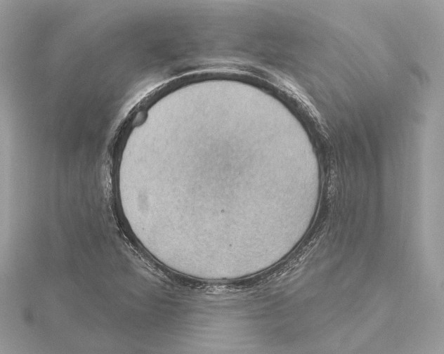 X0000115401360200912011156