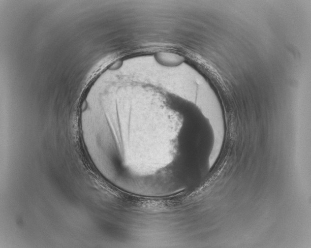 X0000115401362200912011156