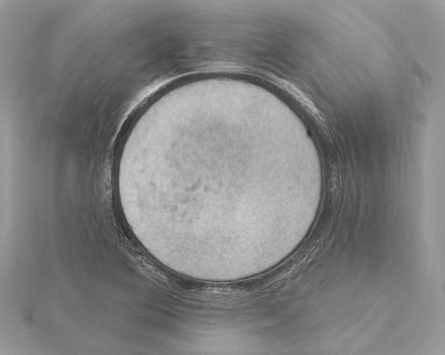 X0000115401364200912011156