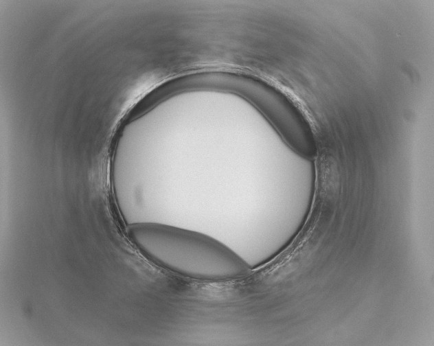 X0000115401365200912011156