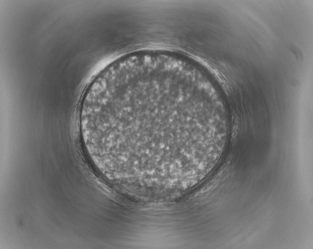 X0000115401367200912011156