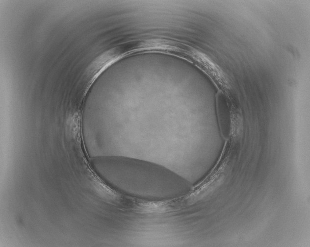 X0000115401369200912011156