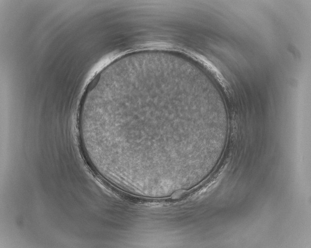 X0000115401373200912011156