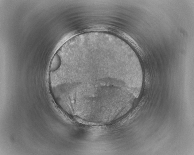 X0000115401378200912011156