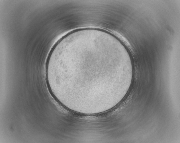 X0000115401380200912011156