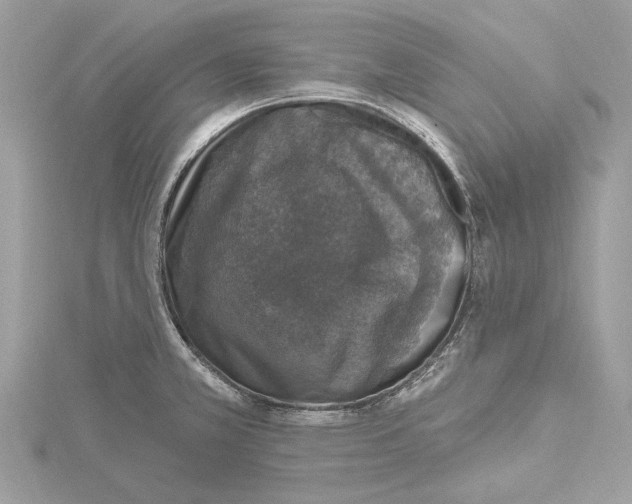 X0000115401381200912011156