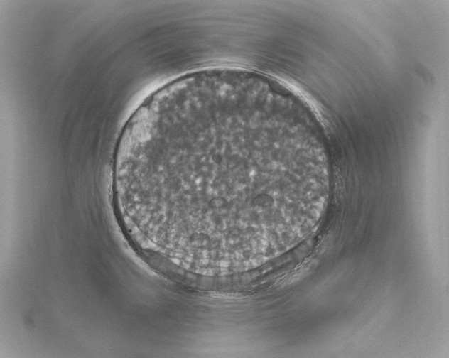X0000115401383200912011156