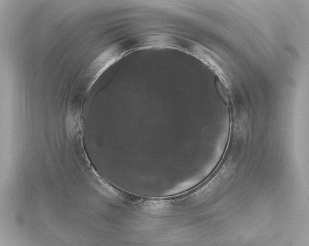 X0000115401385200912011156