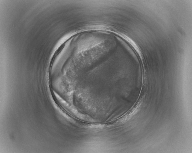 X0000115401389200912011156
