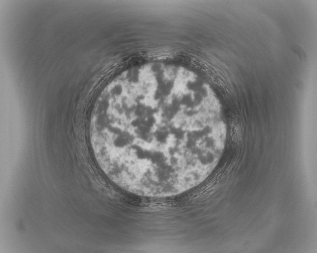 X0000115401393200912011155