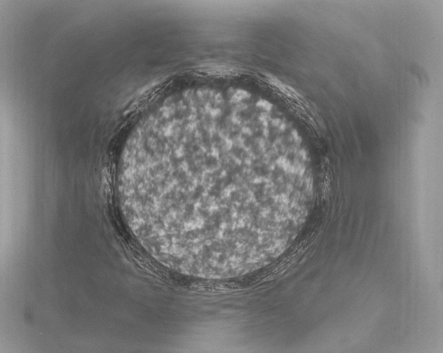 X0000115401397200912011155