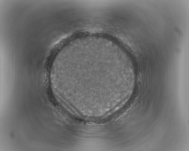 X0000115401398200912011155
