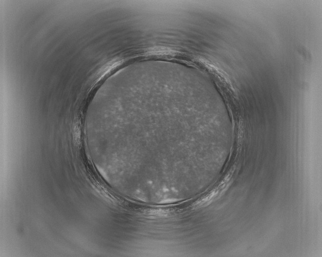 X0000115401401200912011155