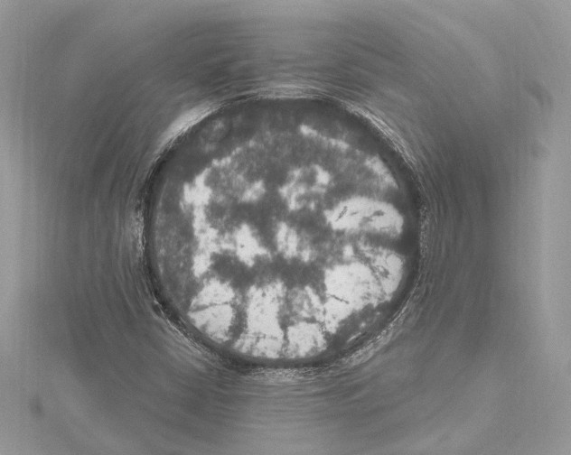 X0000115401402200912011155