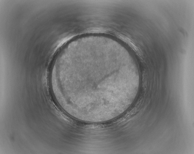 X0000115401404200912011155