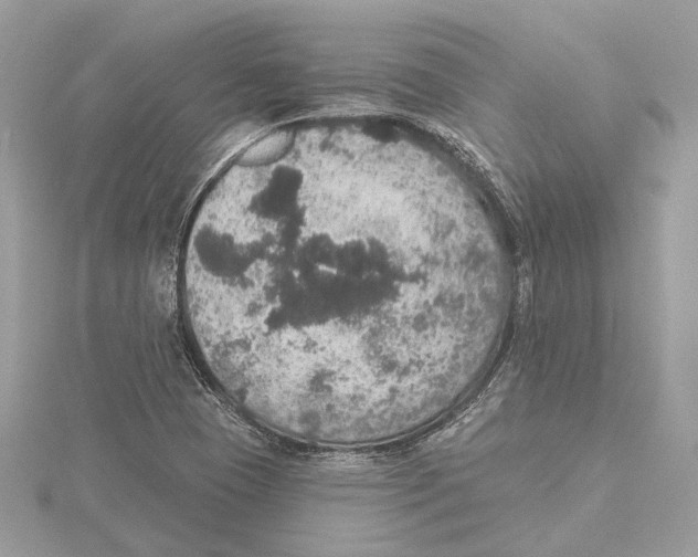 X0000115401409200912011155