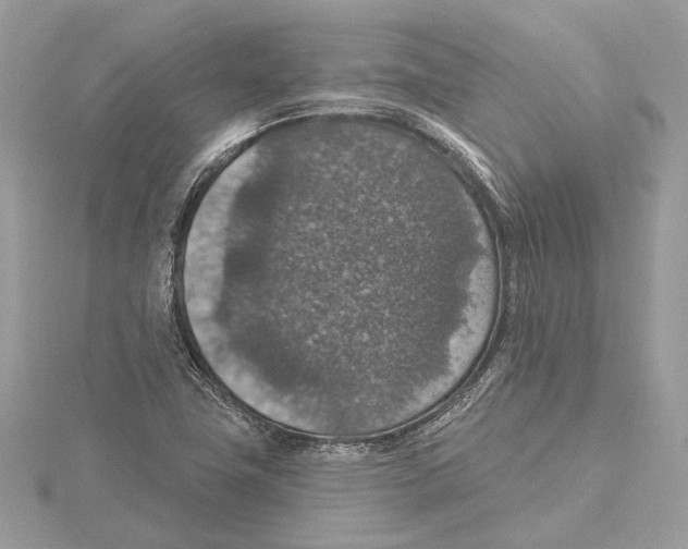 X0000115401411200912011155