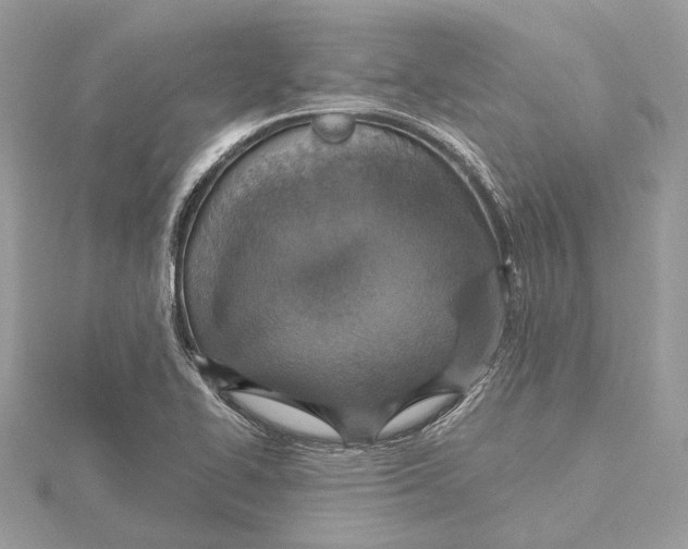 X0000115401414200912011155