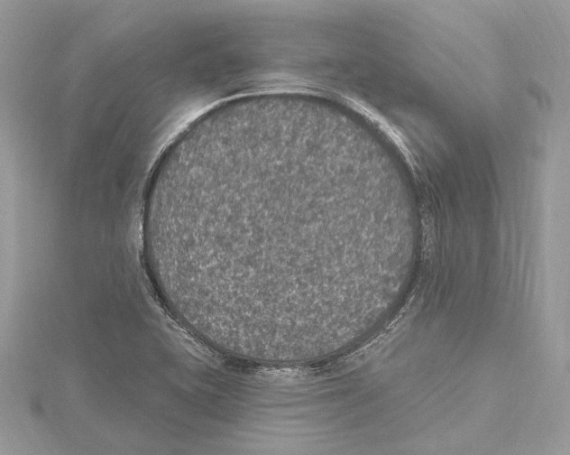 X0000115401415200912011155