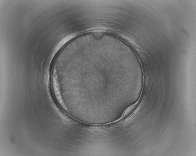 X0000115401418200912011155