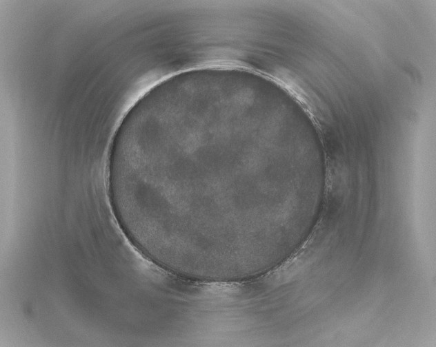 X0000115401430200912011155