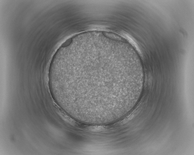 X0000115401435200912011155