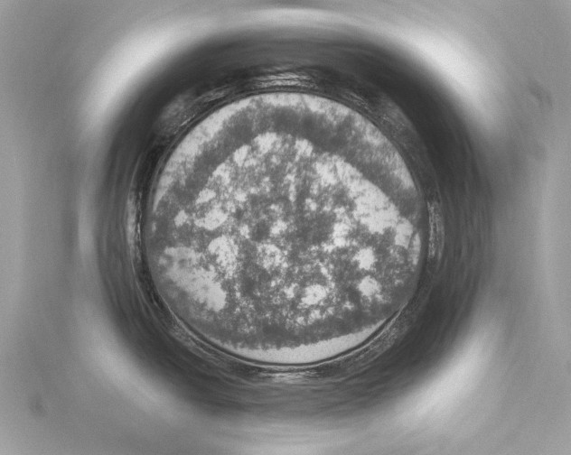 X0000115401438200912011155