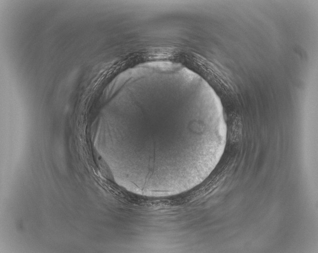 X0000115401441200912011155