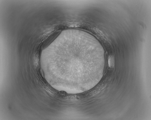 X0000115401444200912011155