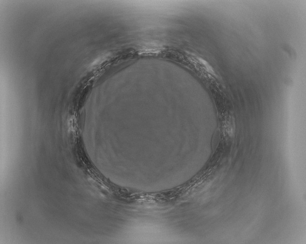 X0000115401445200912011155