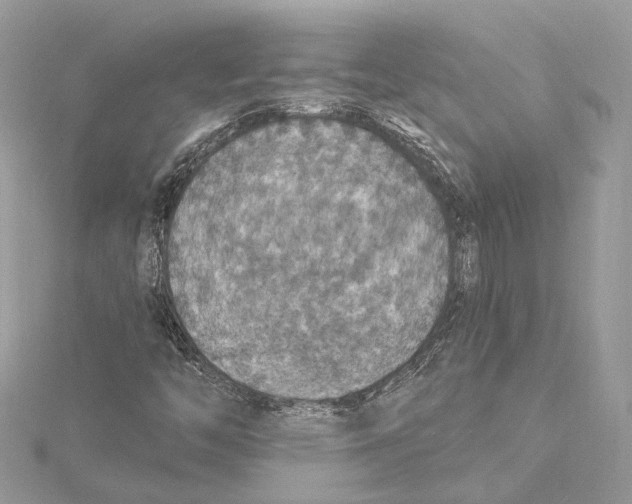 X0000115401446200912011155