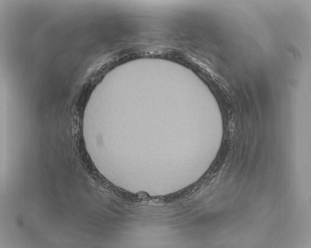 X0000115401447200912011155