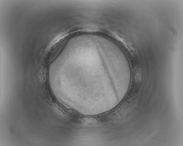 X0000115401448200912011155