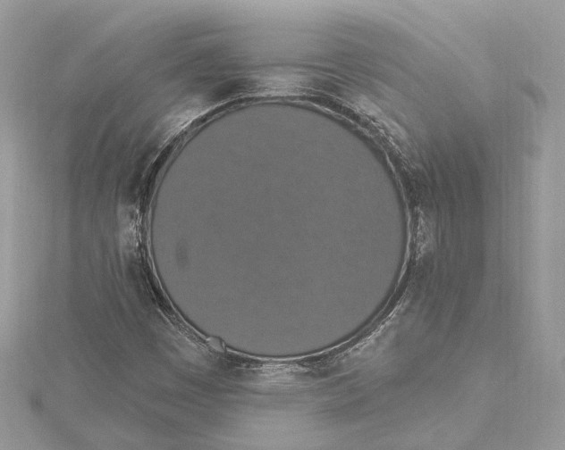 X0000115401449200912011155