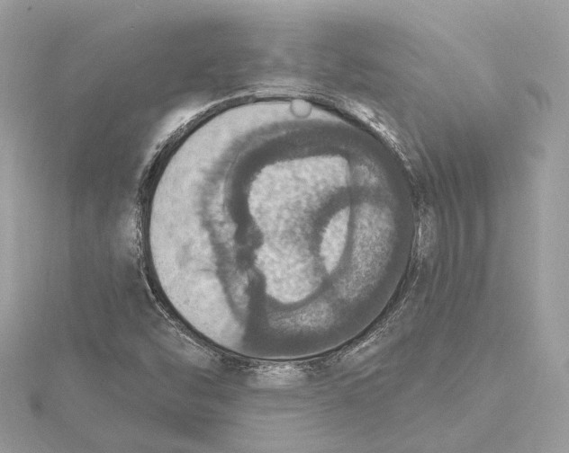 X0000115401454200912011155