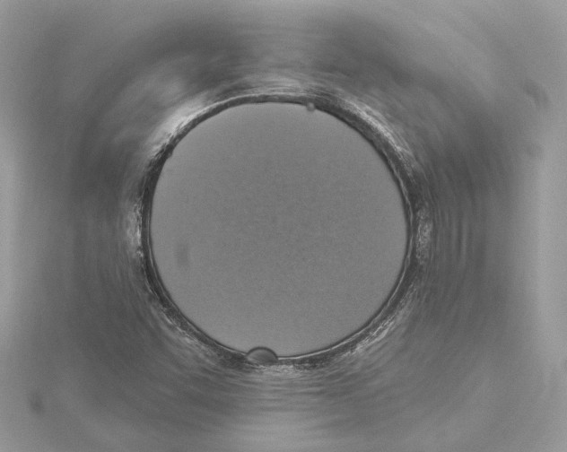 X0000115401455200912011155