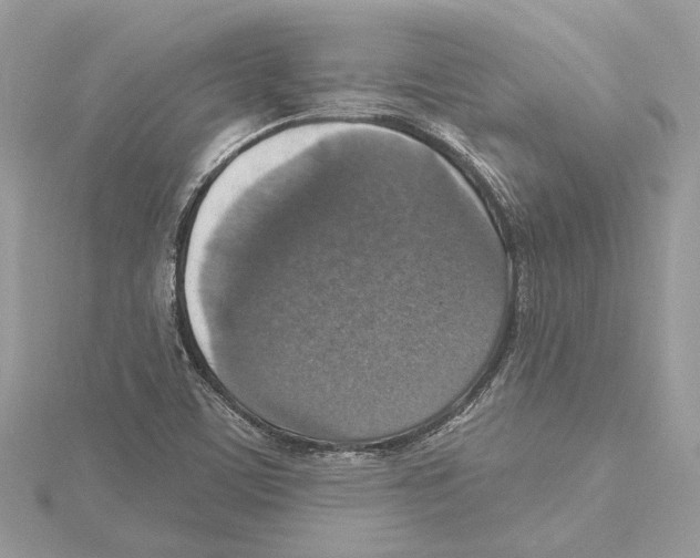 X0000115401459200912011155