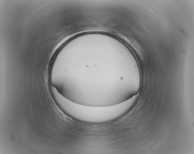 X0000115401460200912011155