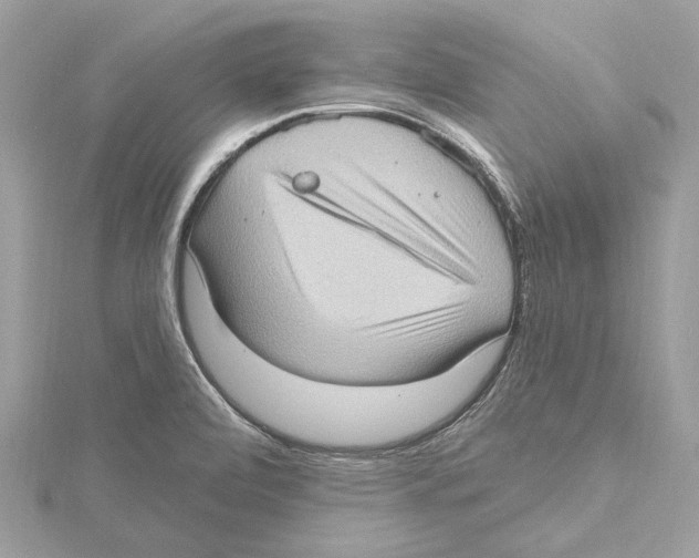 X0000115401472200912011154
